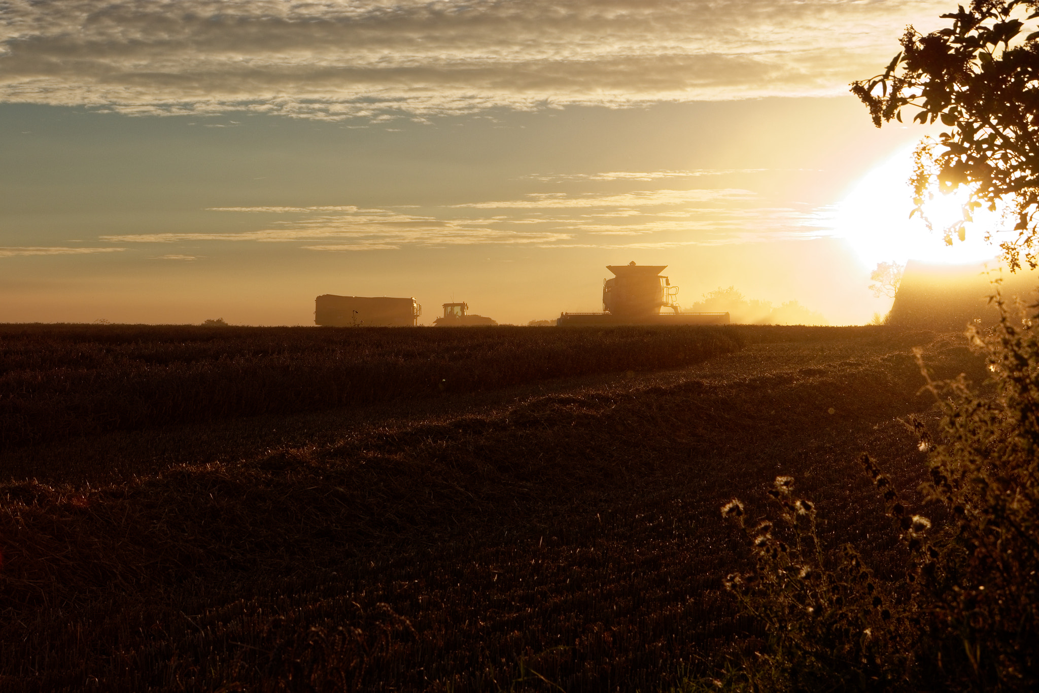 Canon EOS 7D Mark II sample photo. Harvesting in denmark photography