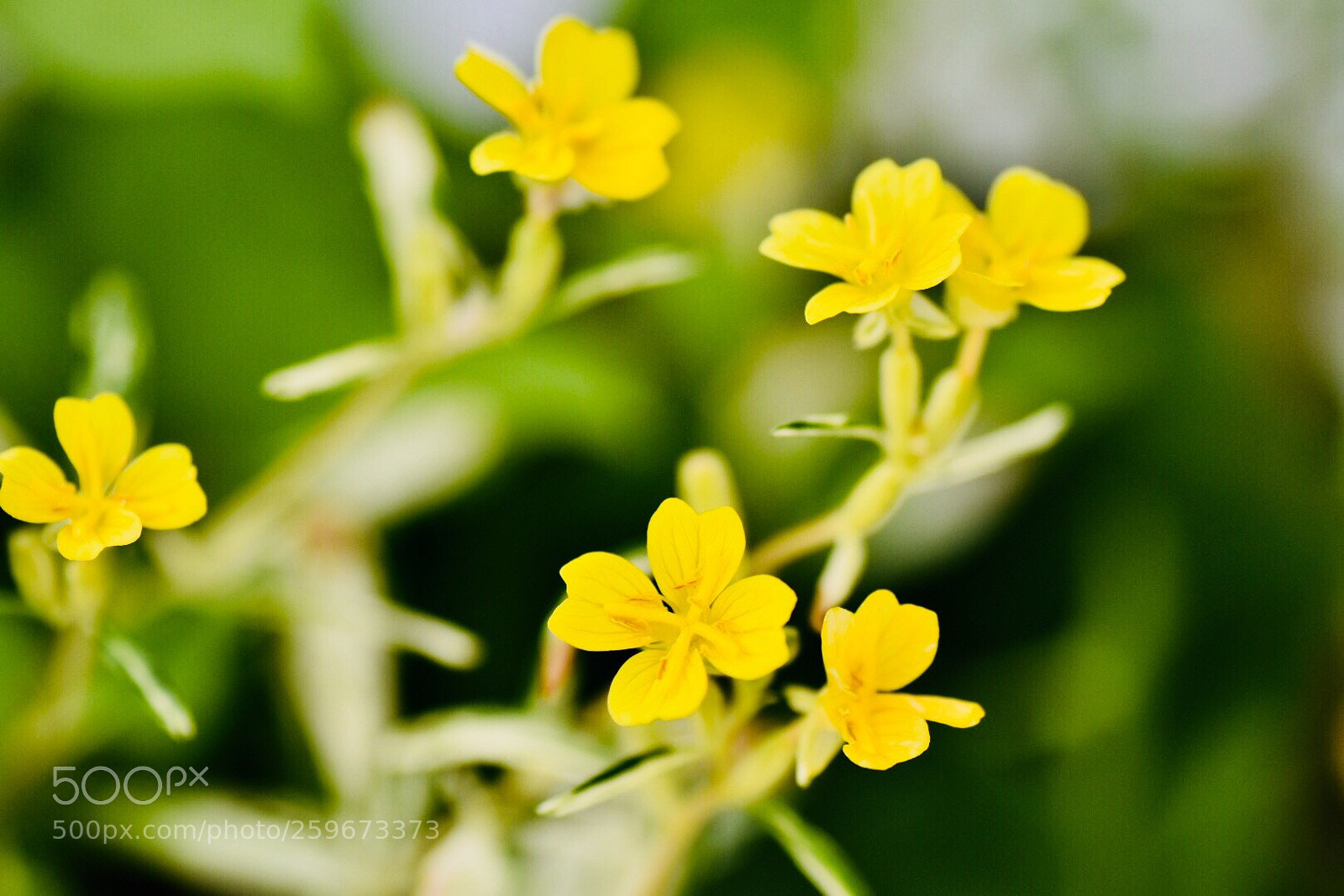 Nikon D7200 sample photo. Untitled photography