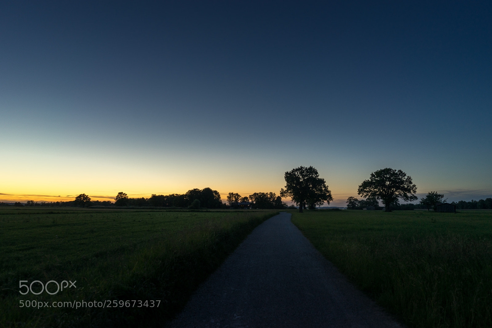 Sony a7 II sample photo. Lachsgang sunset stroll photography