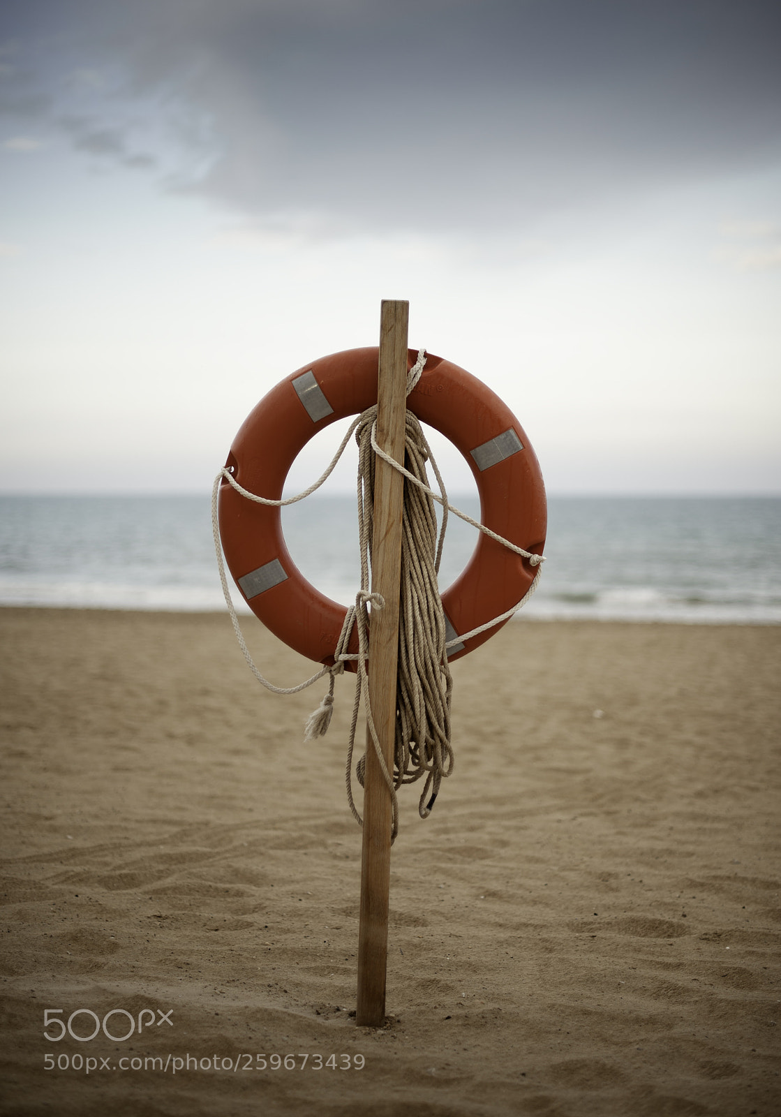 Nikon D700 sample photo. Lifesaver photography