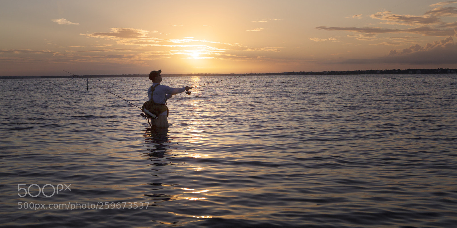 Canon EOS 5D Mark II sample photo. Morning catch photography