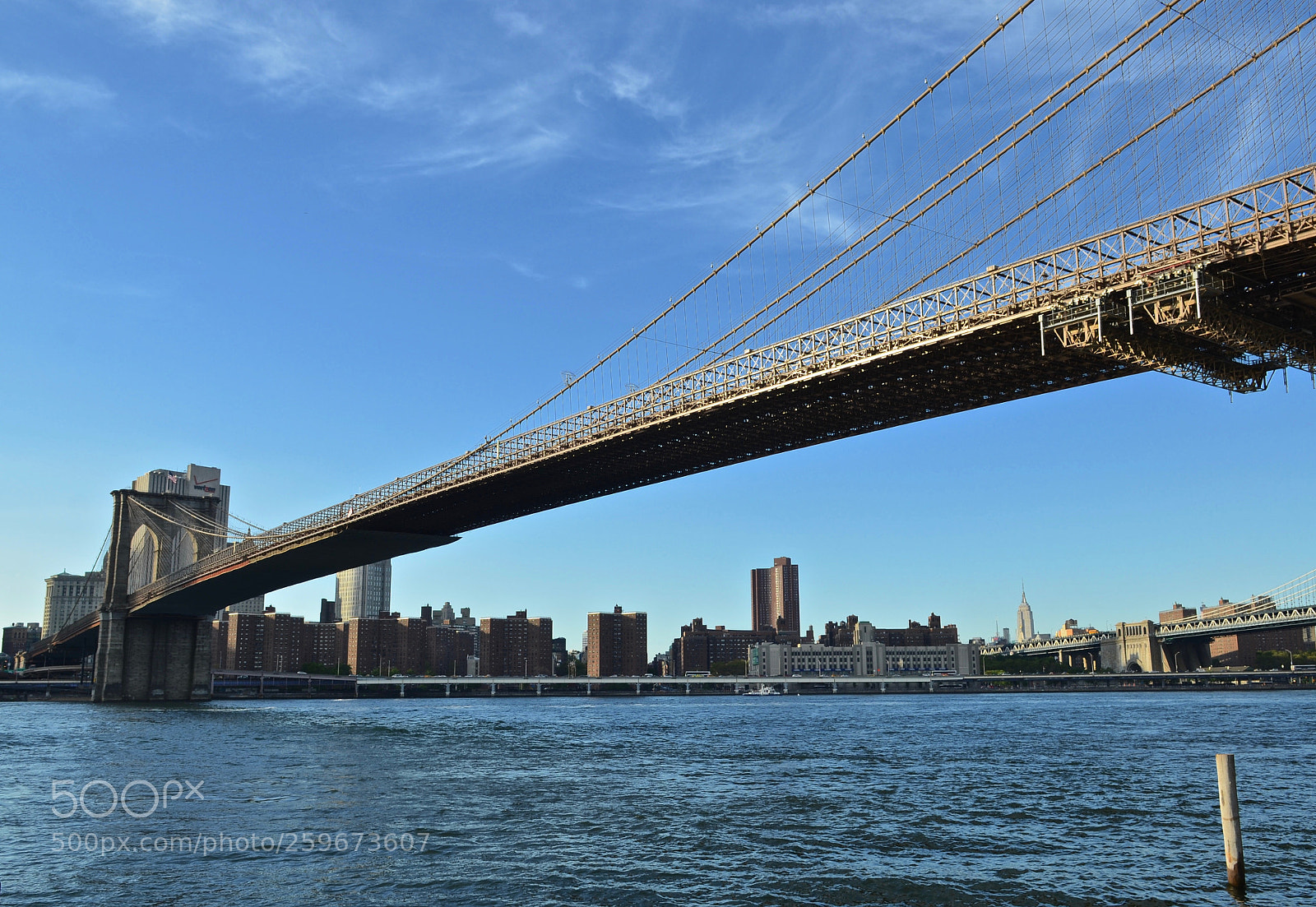 Nikon D7000 sample photo. The bridge photography