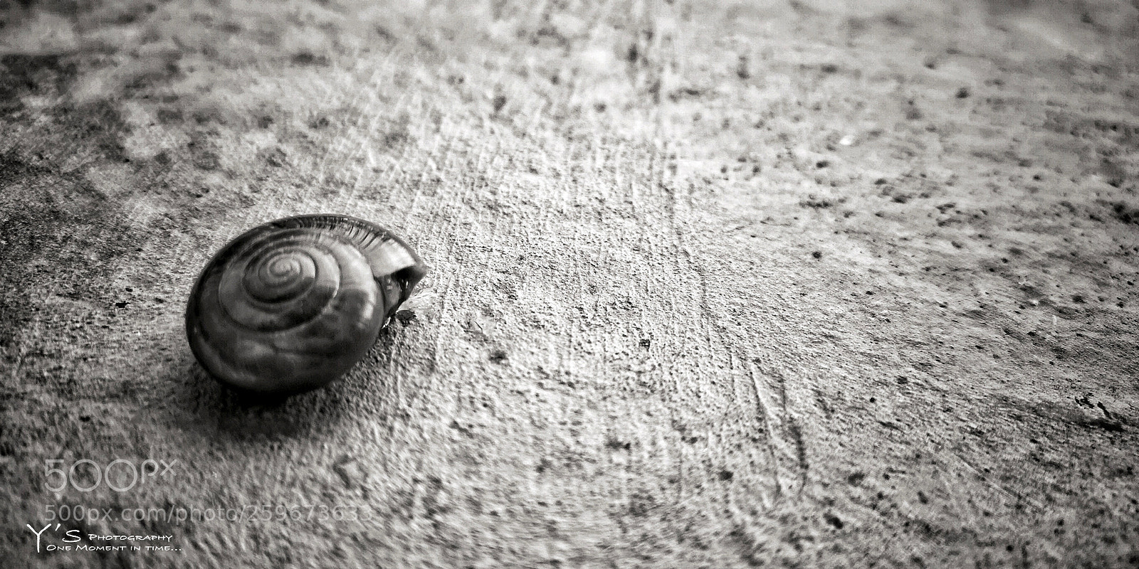 HUAWEI CLT-L29 sample photo. Spiral. 螺旋。 photography