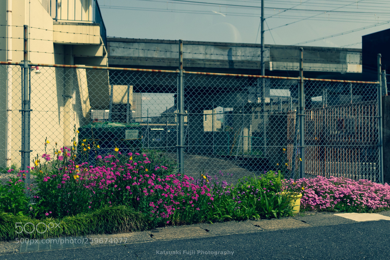 Olympus OM-D E-M1 sample photo. Rusted fence photography