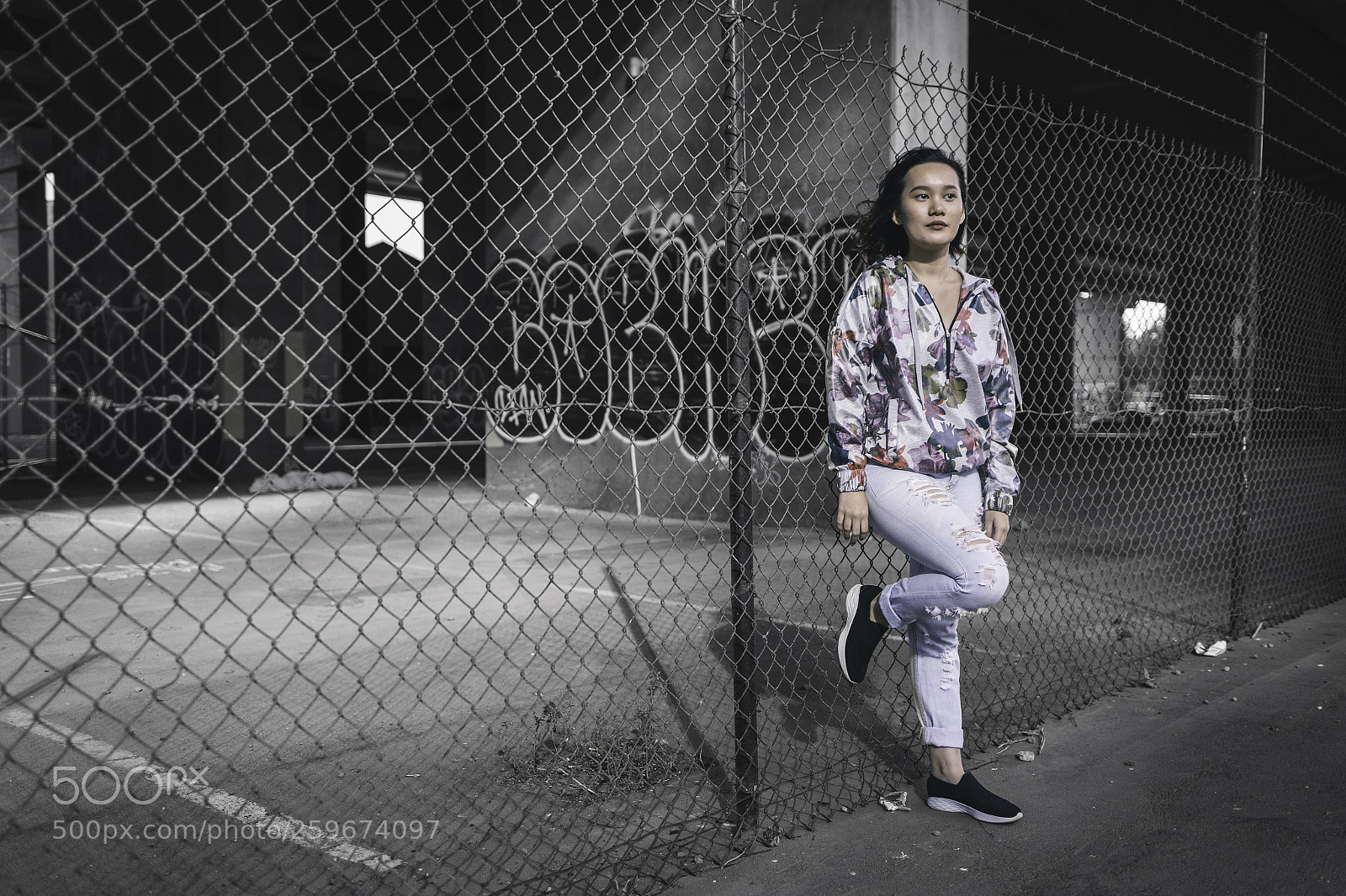 Canon EOS 6D sample photo. One among the fence photography