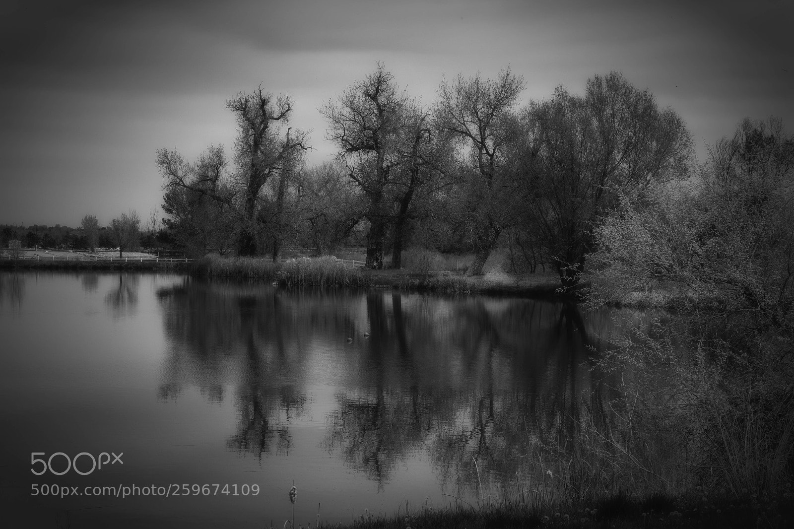 Canon EOS 7D Mark II sample photo. Black glass photography