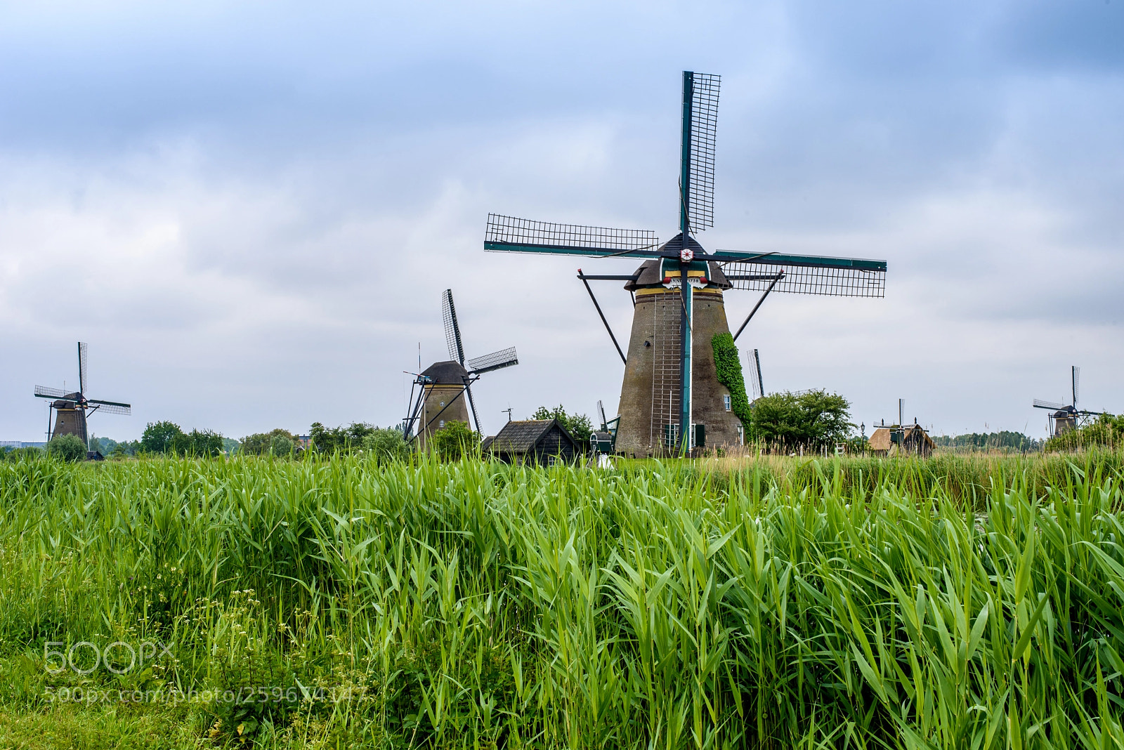 Nikon D750 sample photo. Windmills photography