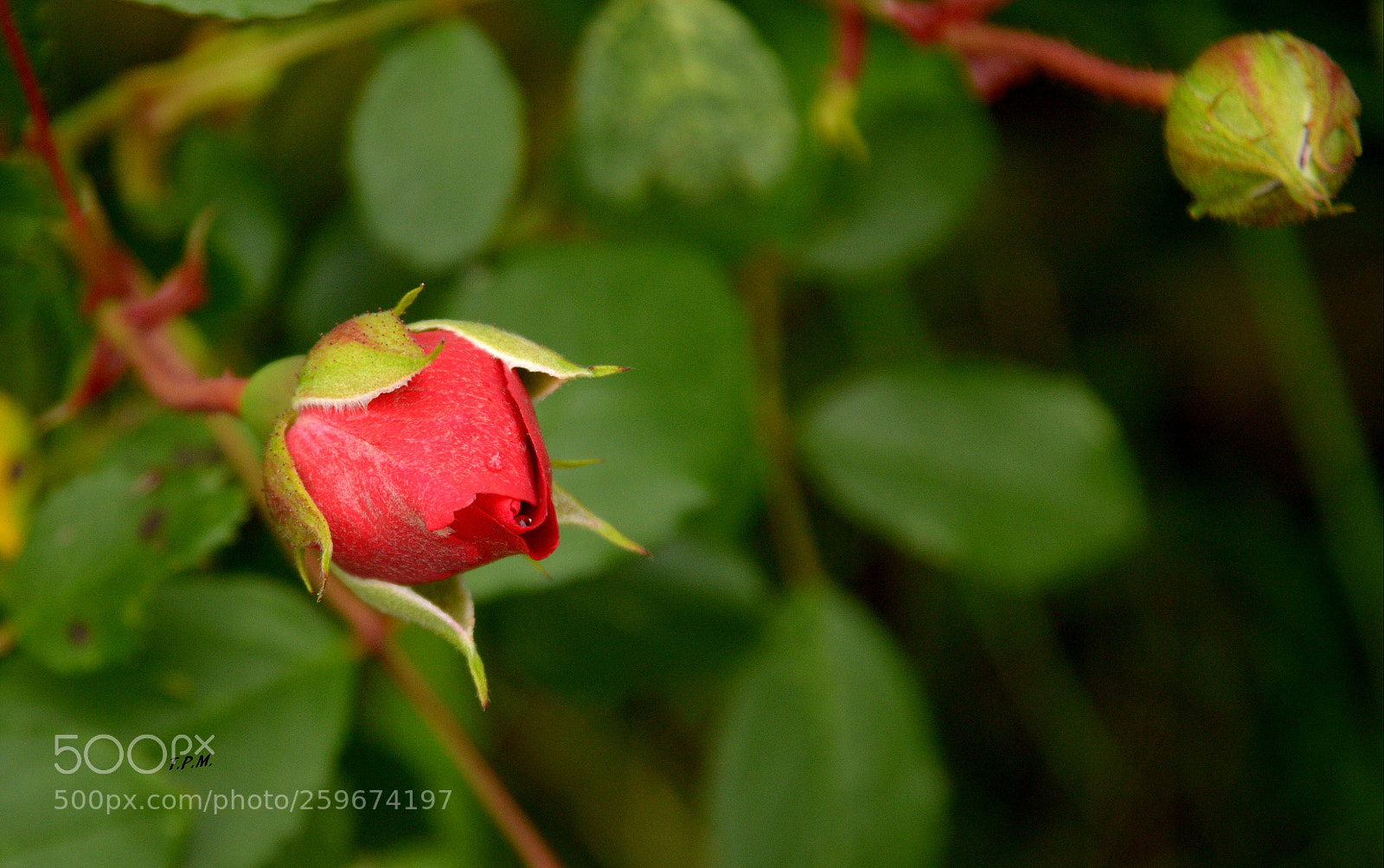 Nikon D3200 sample photo. Untitled photography