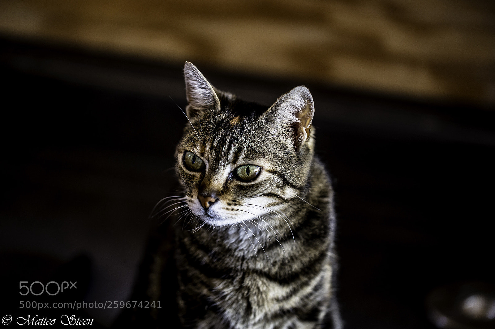 Canon EOS 6D sample photo. Nanouk photography