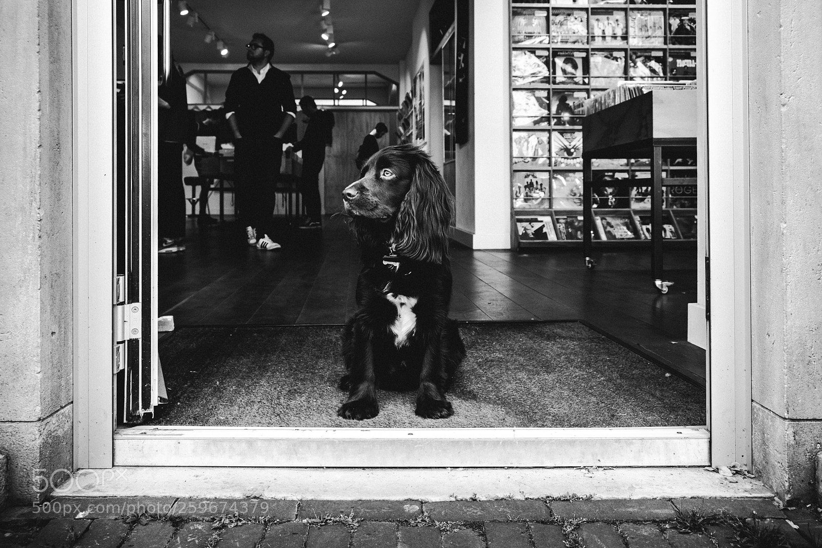 Fujifilm X-T20 sample photo. Lookout photography