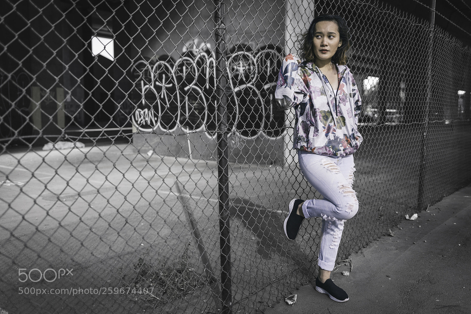 Canon EOS 6D sample photo. One among the fence photography