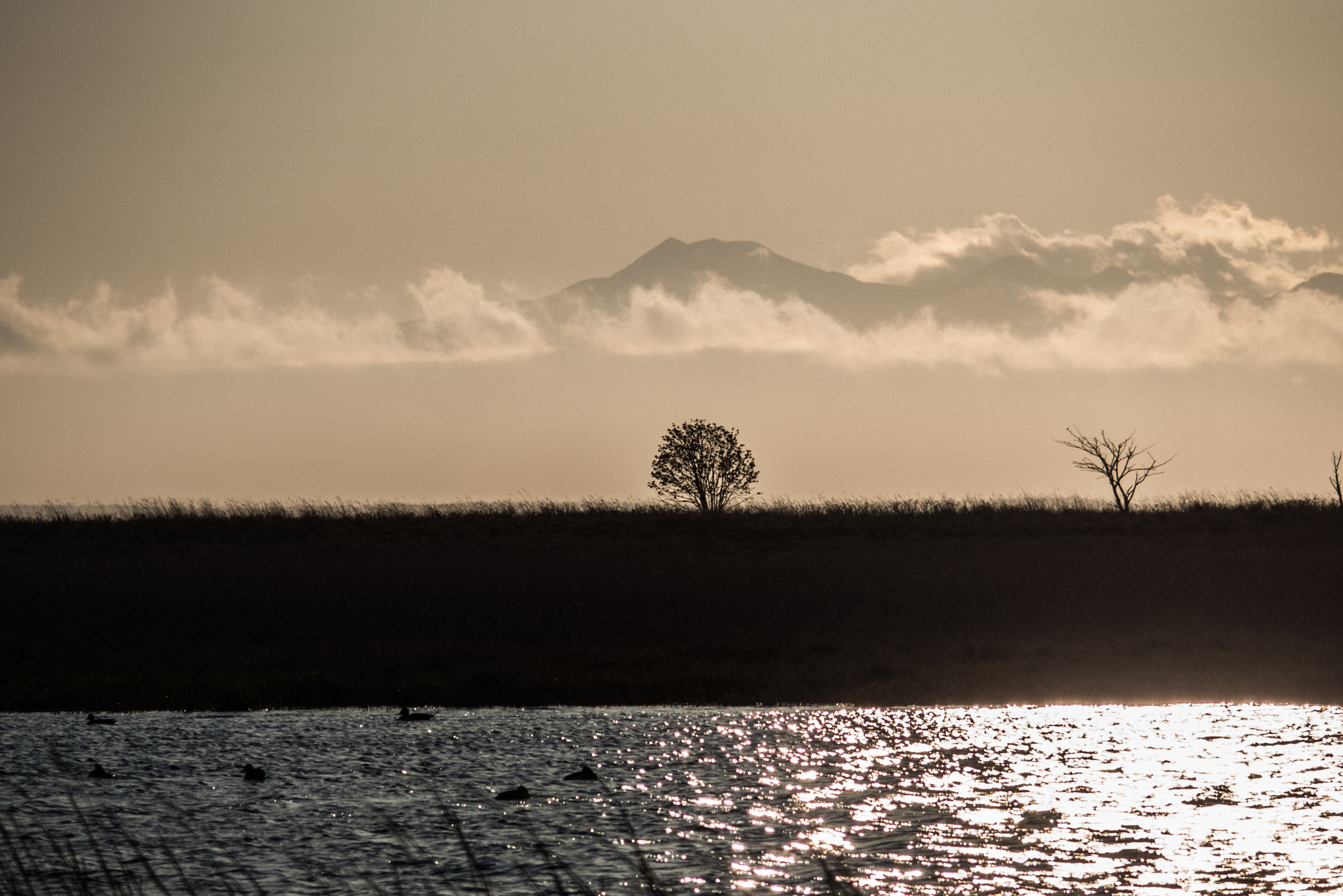 Olympus STYLUS1,1s sample photo. 北海道　野付半島 notsuke peninsula, hokkaido photography
