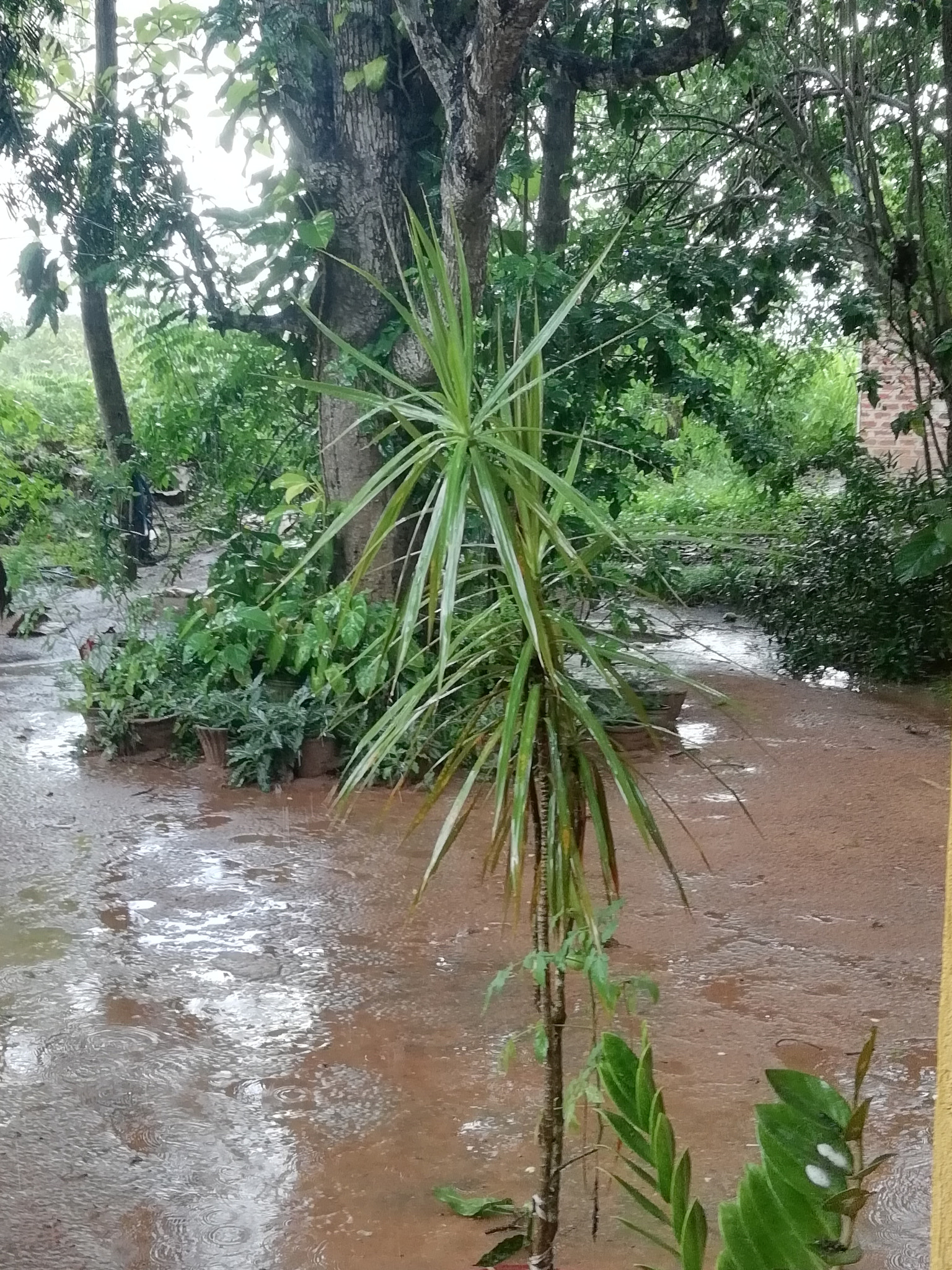 HUAWEI Y9 2018 sample photo. Hdr photography