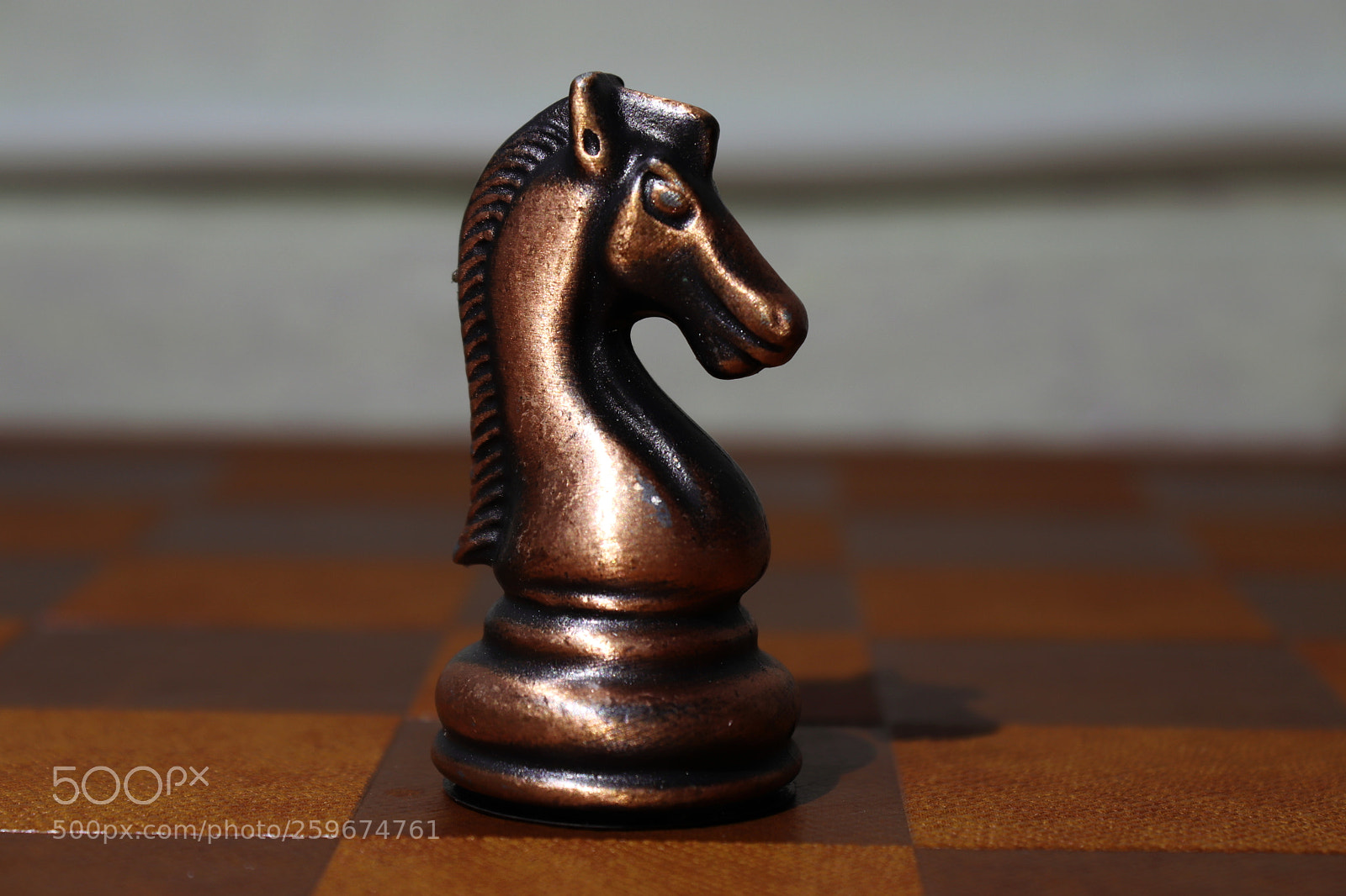 Canon EOS 200D (EOS Rebel SL2 / EOS Kiss X9) sample photo. Chess knight photography