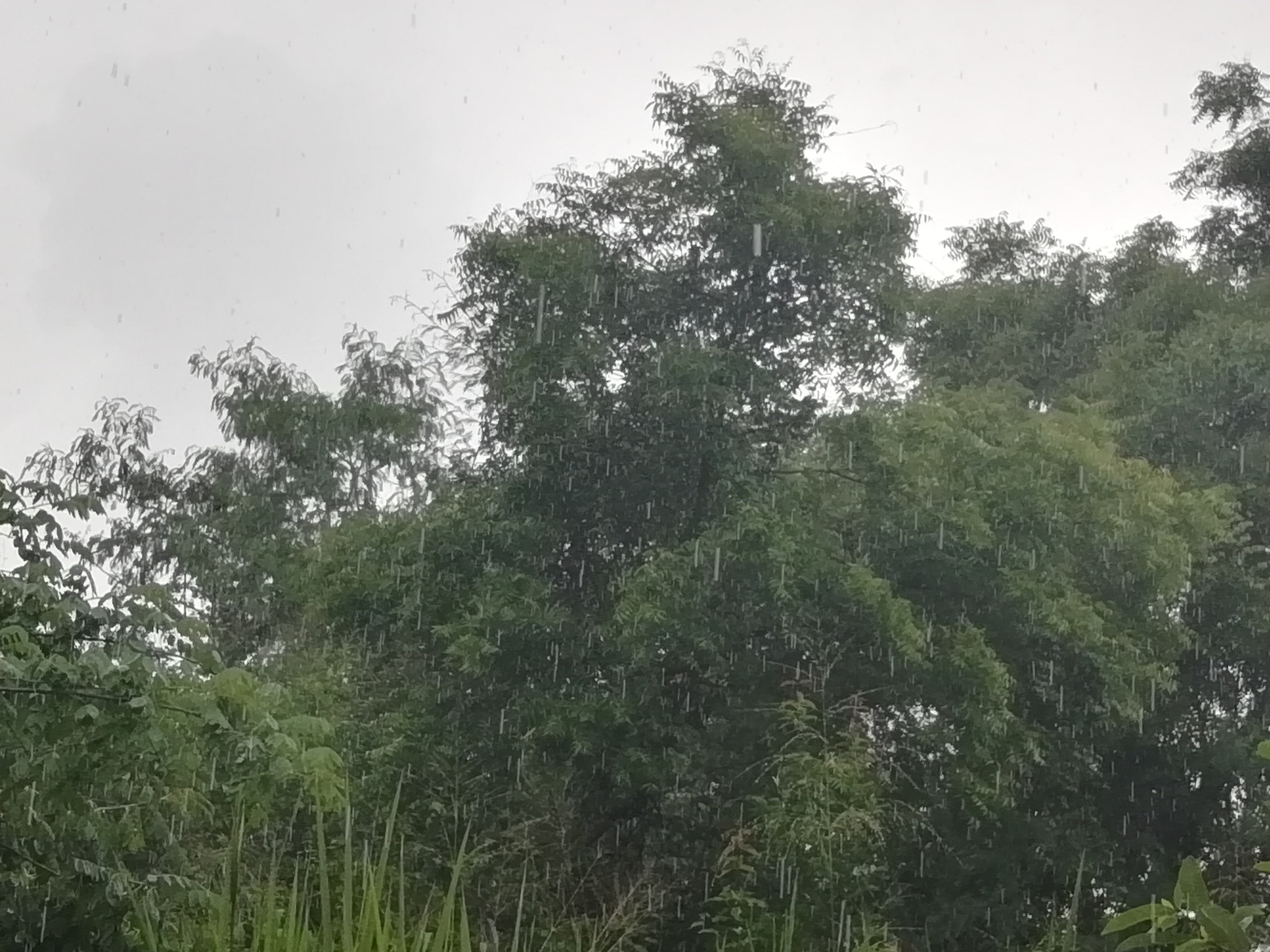 HUAWEI Y9 2018 sample photo. Hdr photography