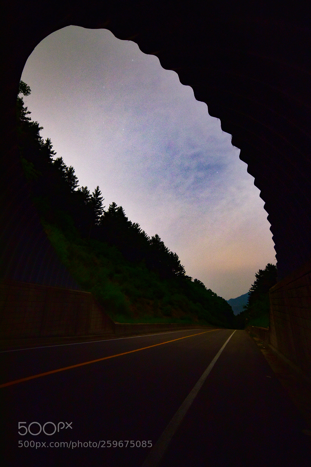 Nikon D810 sample photo. Untitled photography