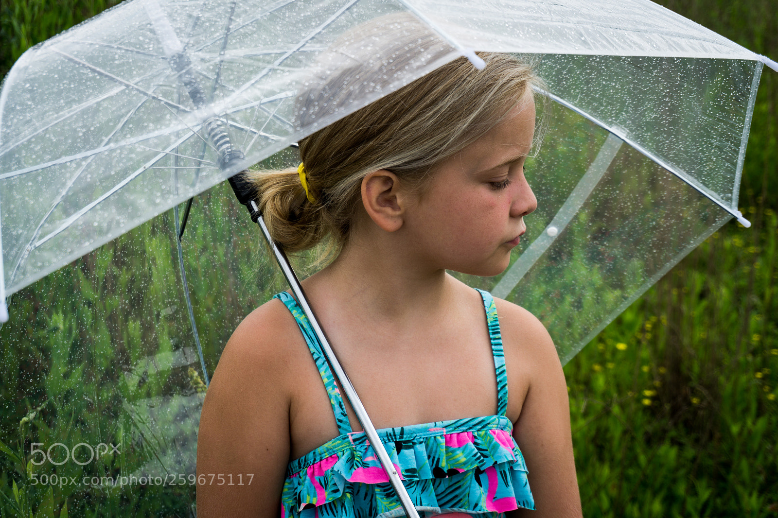 Sony a6000 sample photo. Dsc photography
