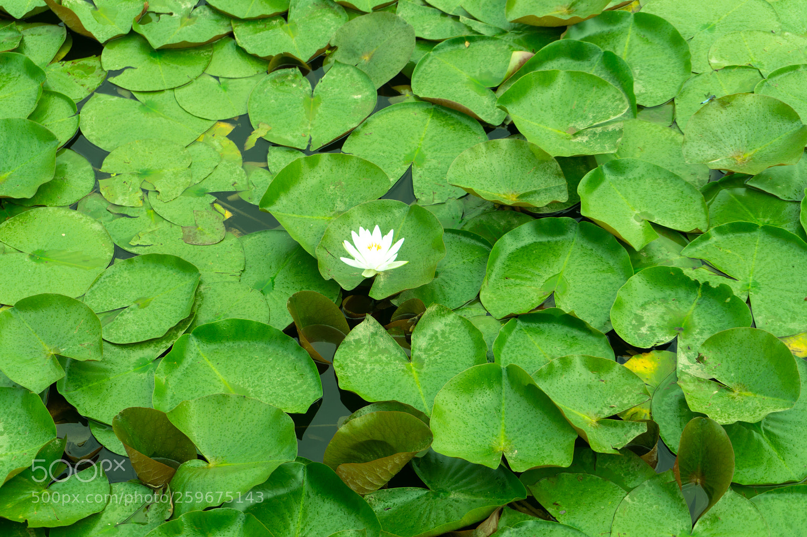 Sony a6000 sample photo. Dsc photography