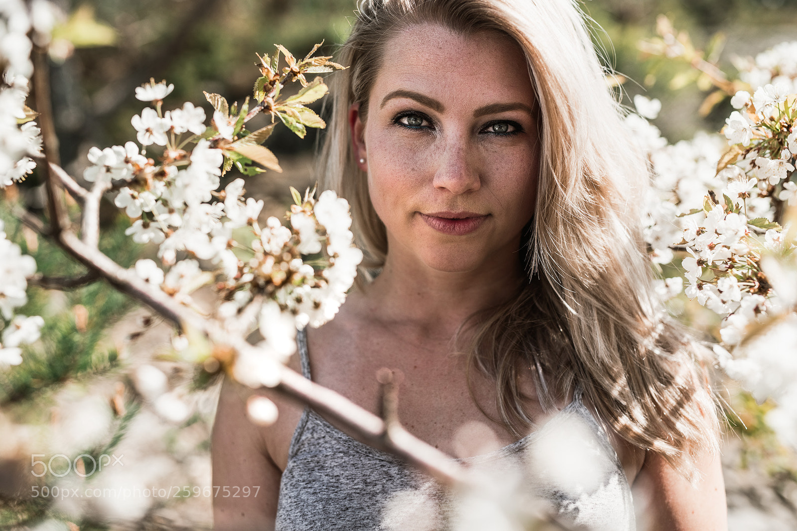 Sony a99 II sample photo. Enjoying spring photography