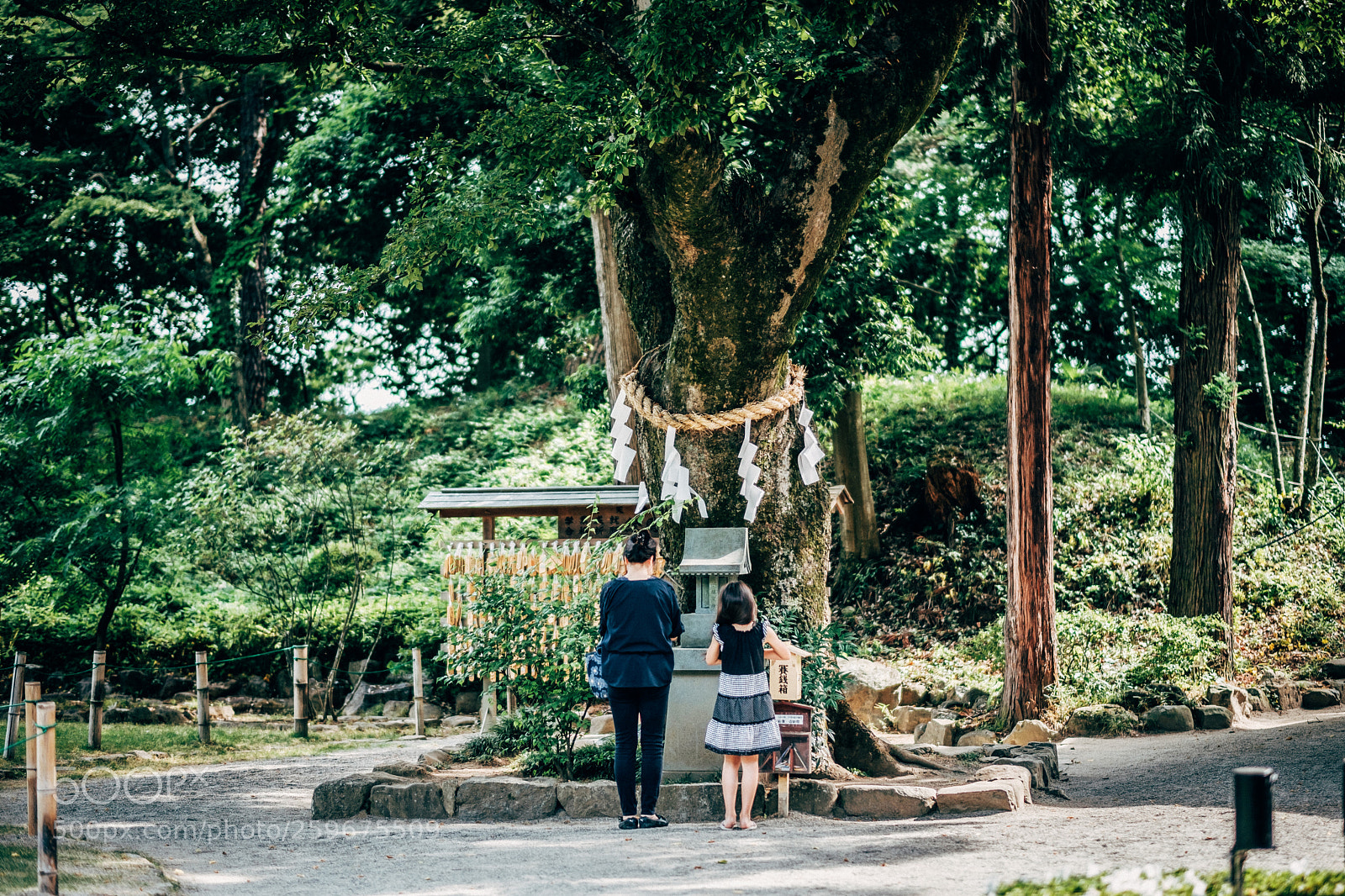Fujifilm X-T2 sample photo. 祈願 photography