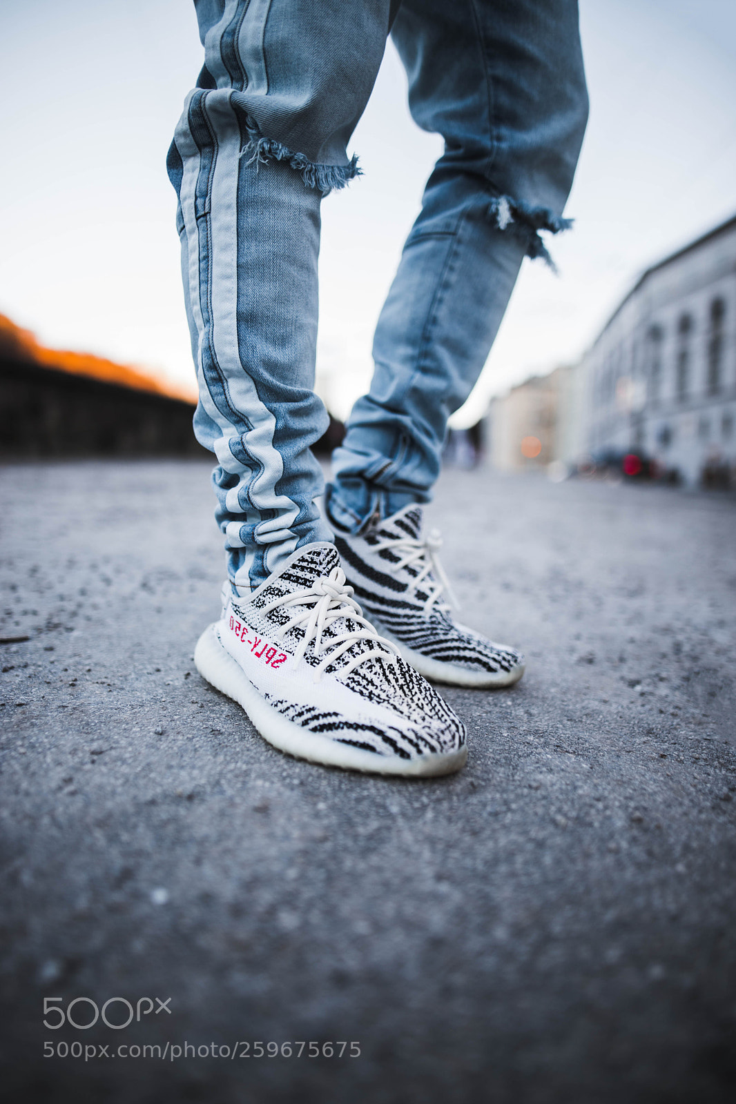 Canon EOS 6D Mark II sample photo. "zebra yeezy" photography