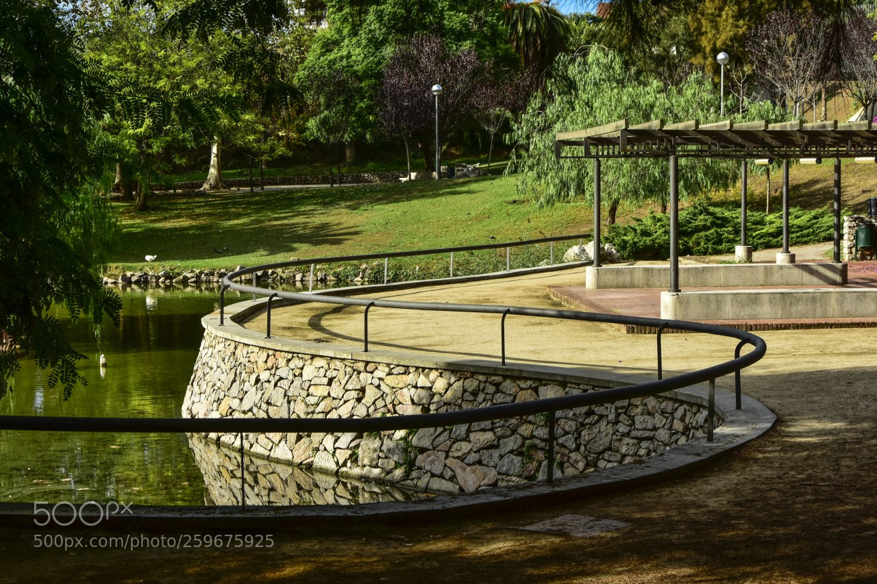 Nikon D7200 sample photo. En el parque photography