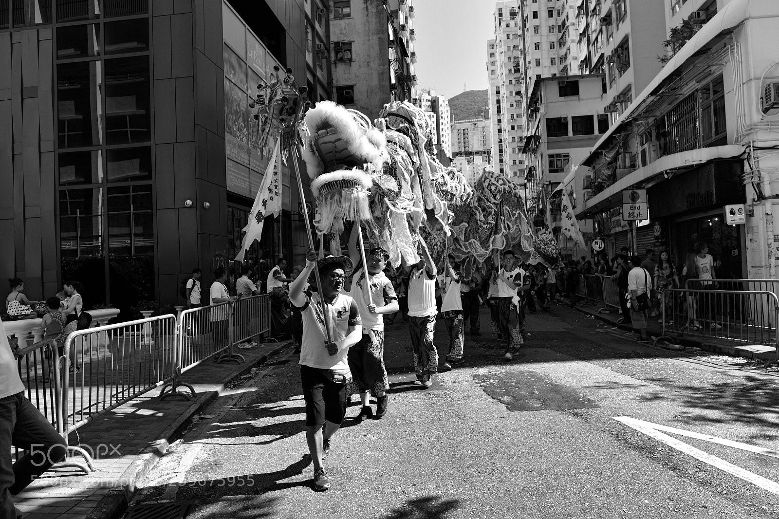Nikon D850 sample photo. Dragon dance photography