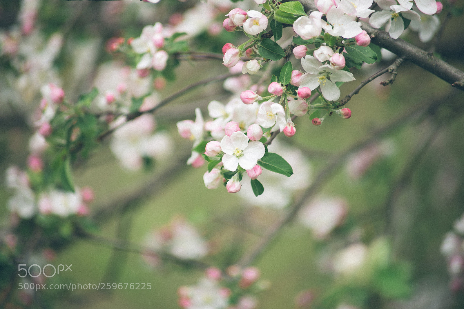 Canon EOS 6D sample photo. Img photography