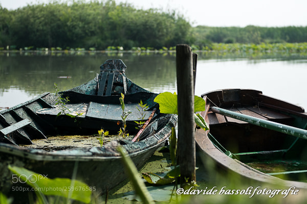 Nikon D500 sample photo. Grazie di curtatone (mn) 27.05.18 photography