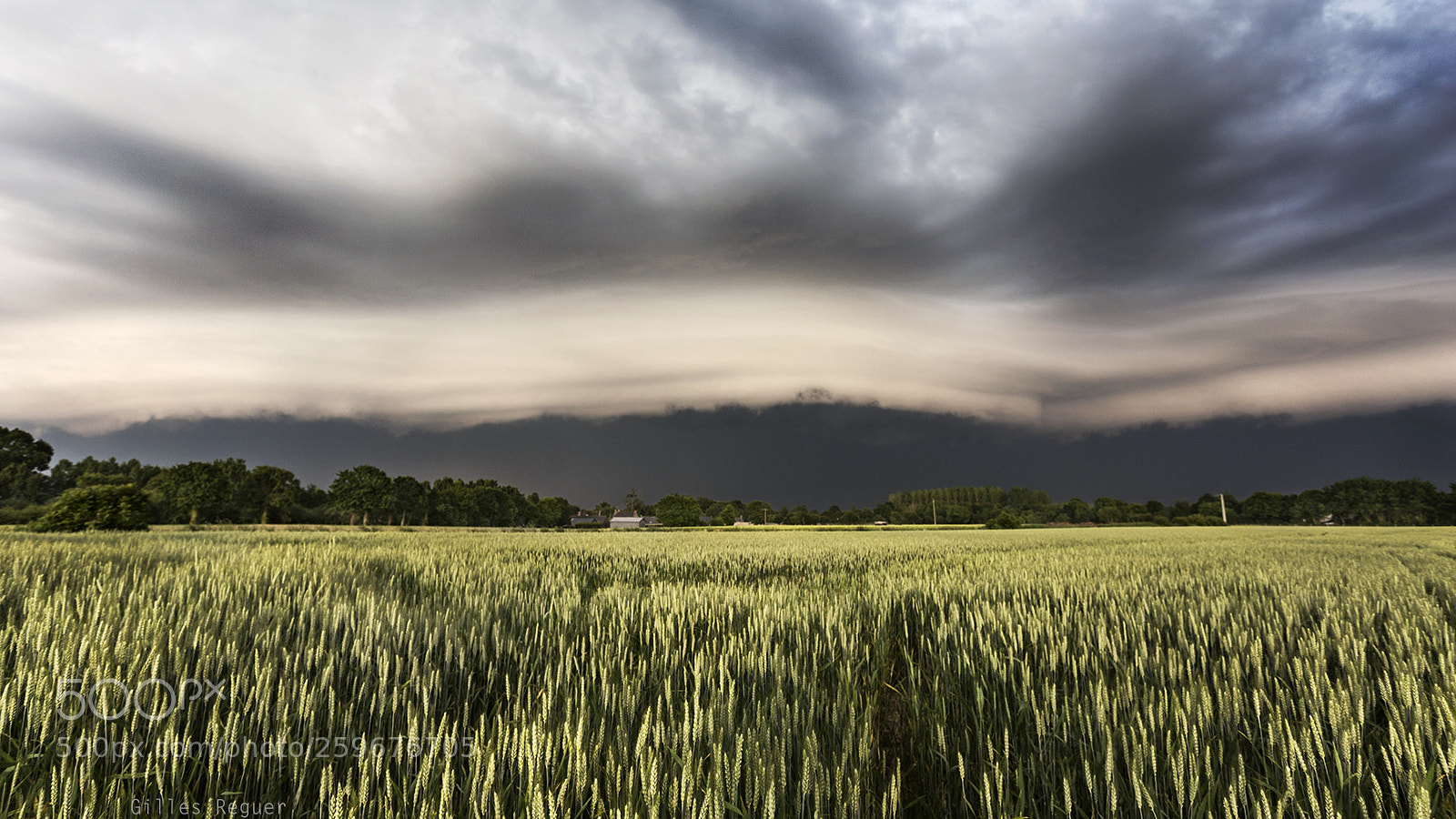 Canon EOS 6D sample photo. Arcus photography