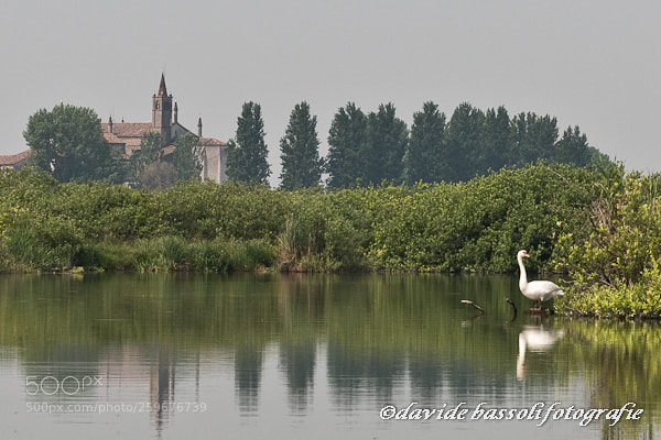 Nikon D500 sample photo. Grazie di curtatone (mn) 27.05.18 photography
