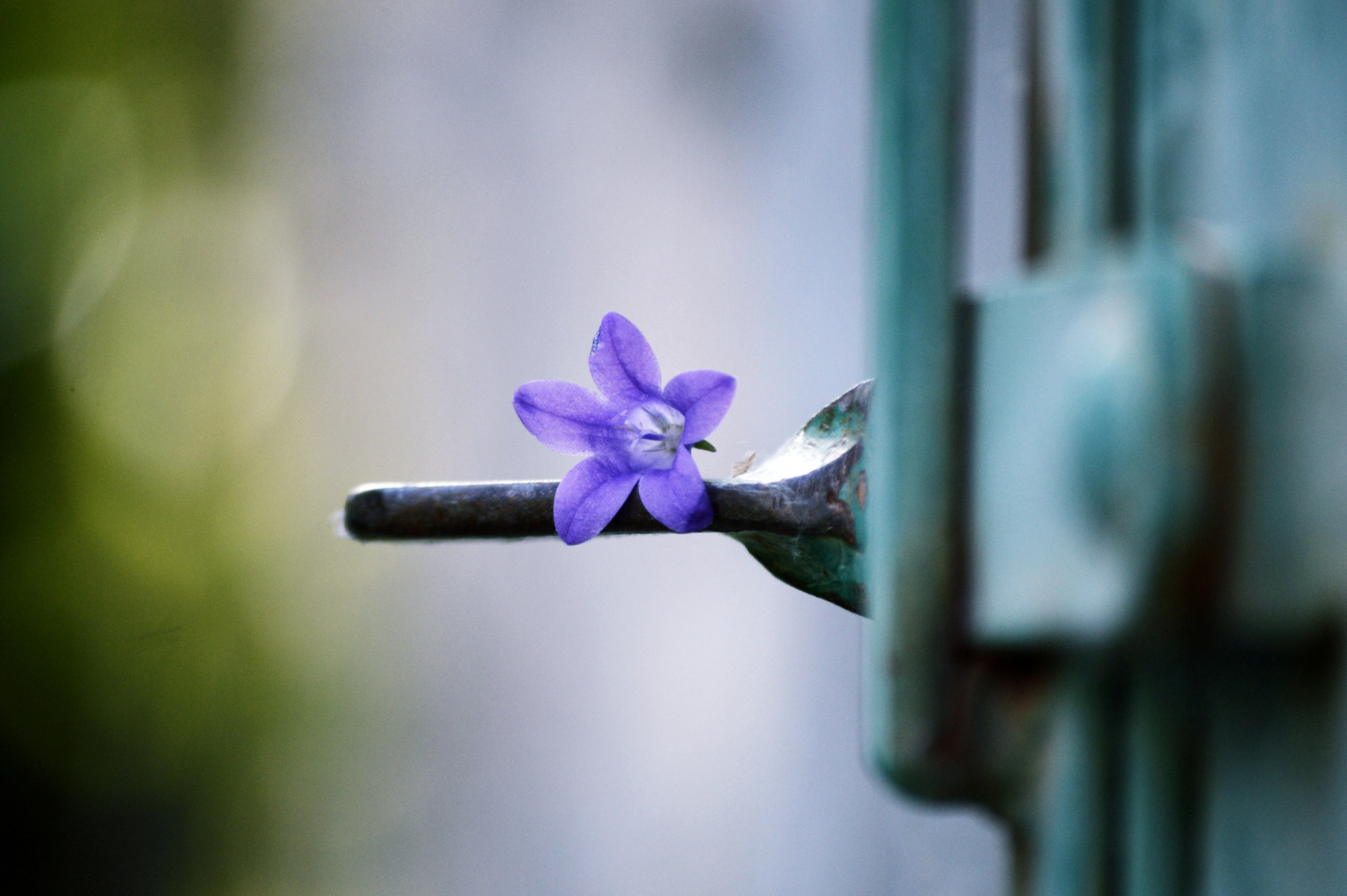 Nikon D3200 sample photo. Open the door photography