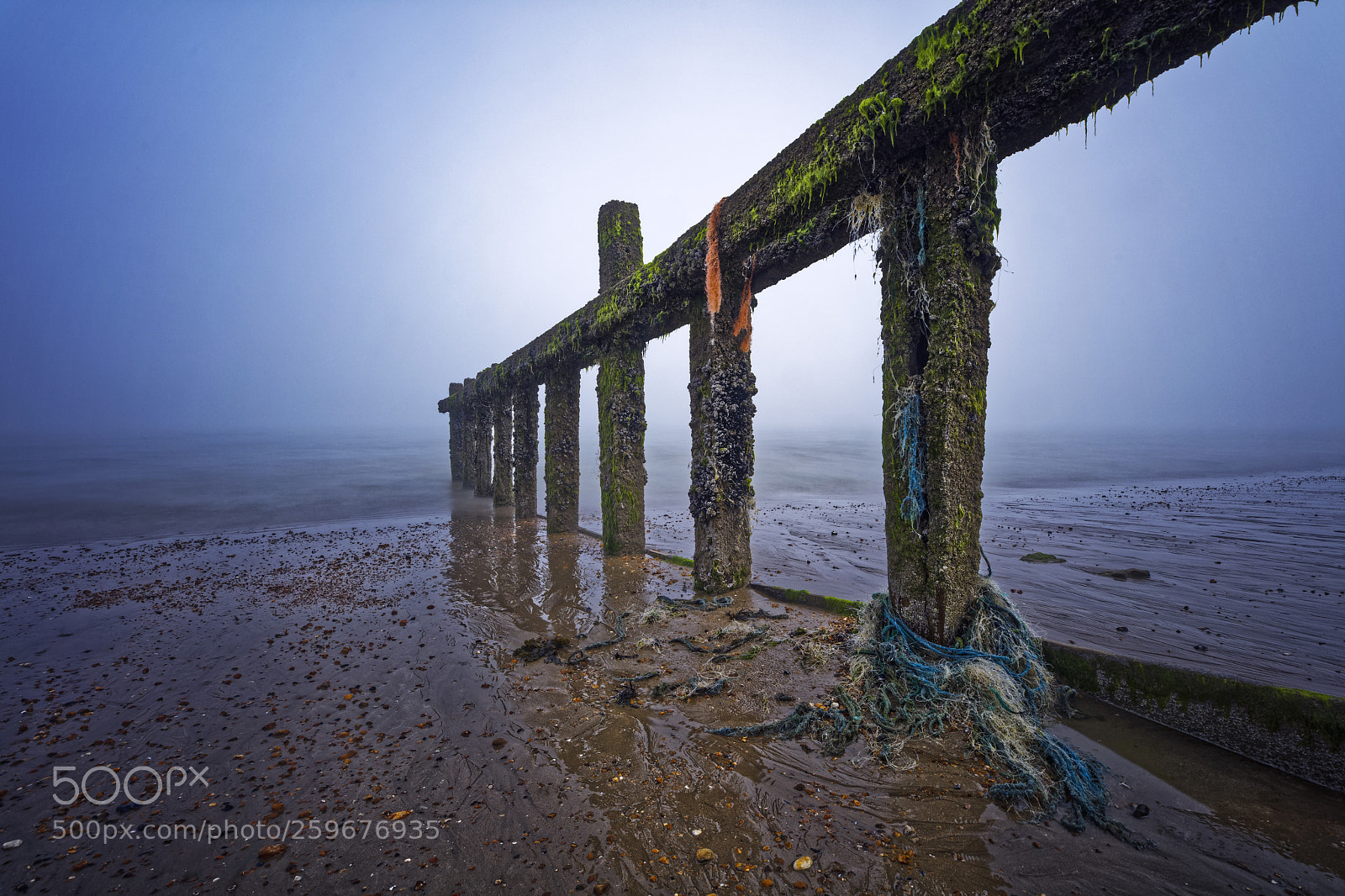 Canon EOS 5DS R sample photo. Sea mist photography
