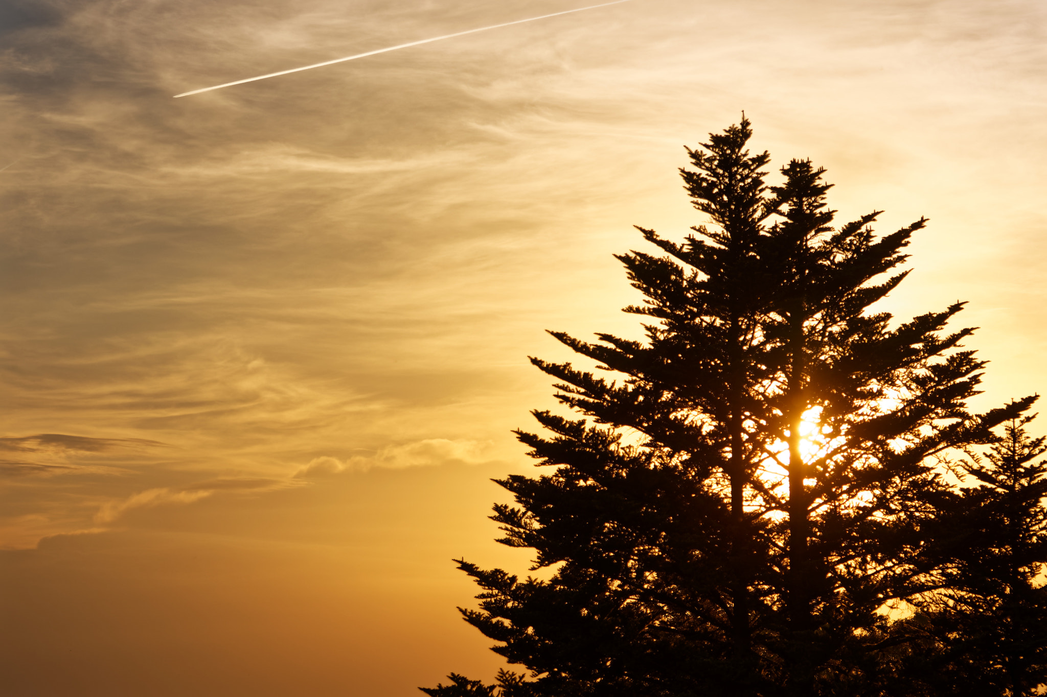 Nikon D7200 sample photo. Golden sunset photography