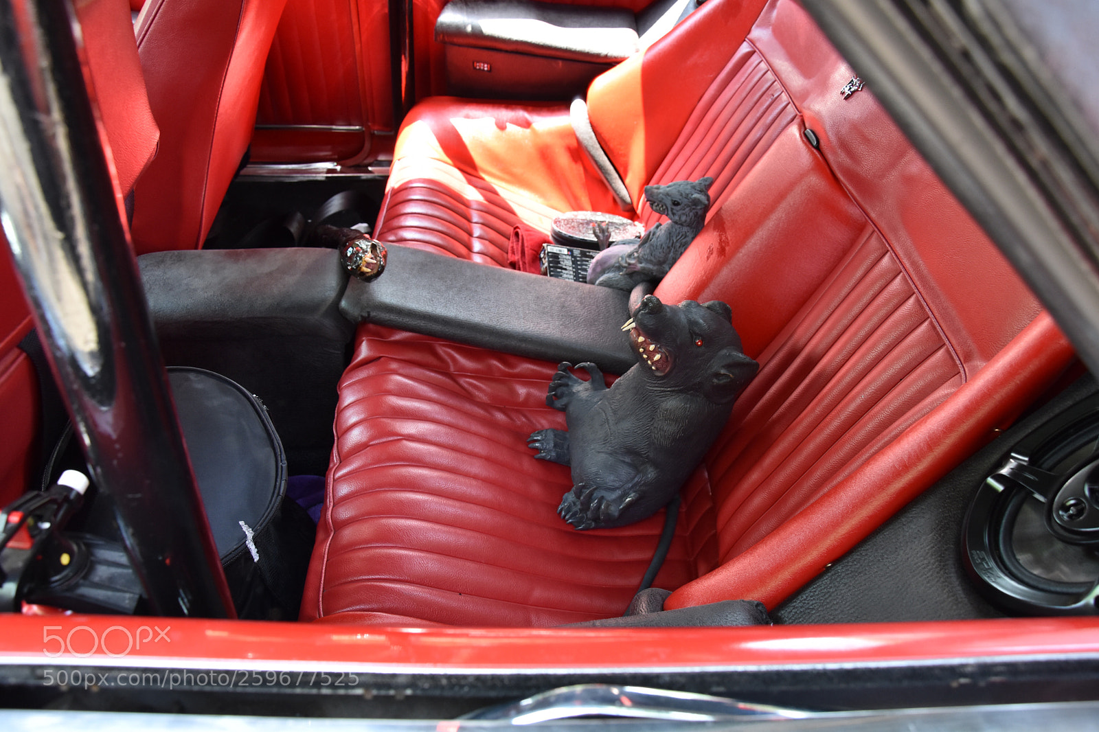 Nikon D7200 sample photo. Backseat drivers photography