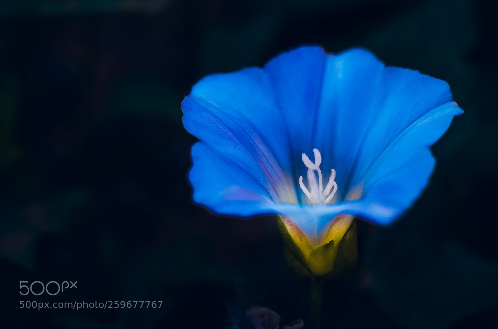 Nikon D7000 sample photo. Dark photography