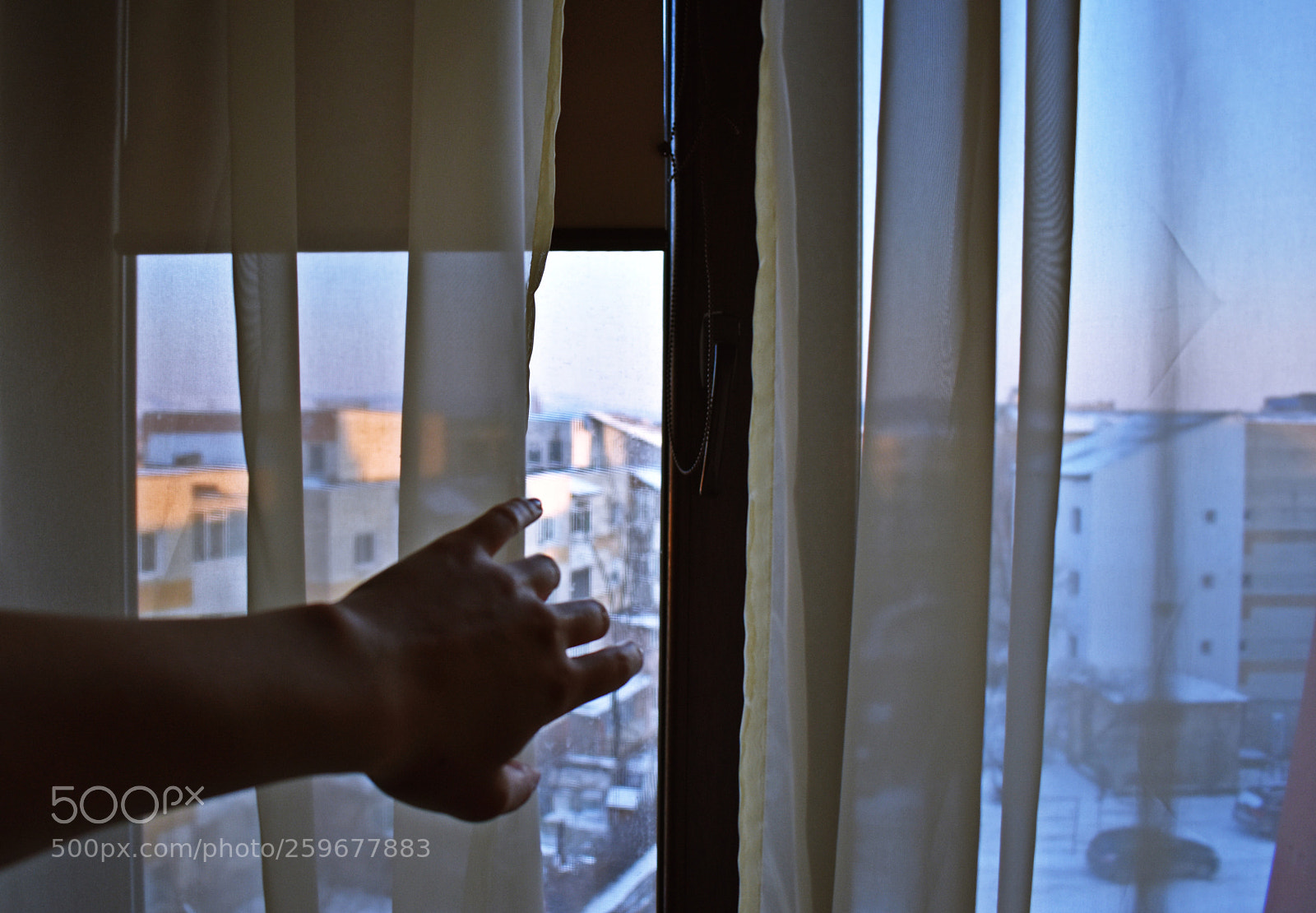 Nikon D3400 sample photo. Cozy afternoon photography