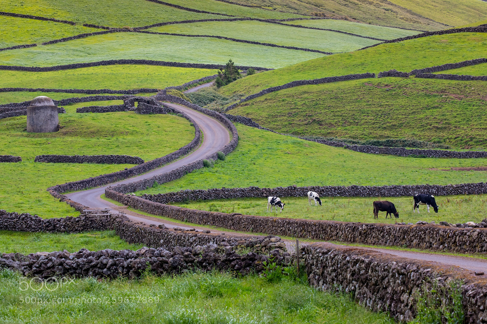 Canon EOS 5D Mark IV sample photo. Country road on terceira photography