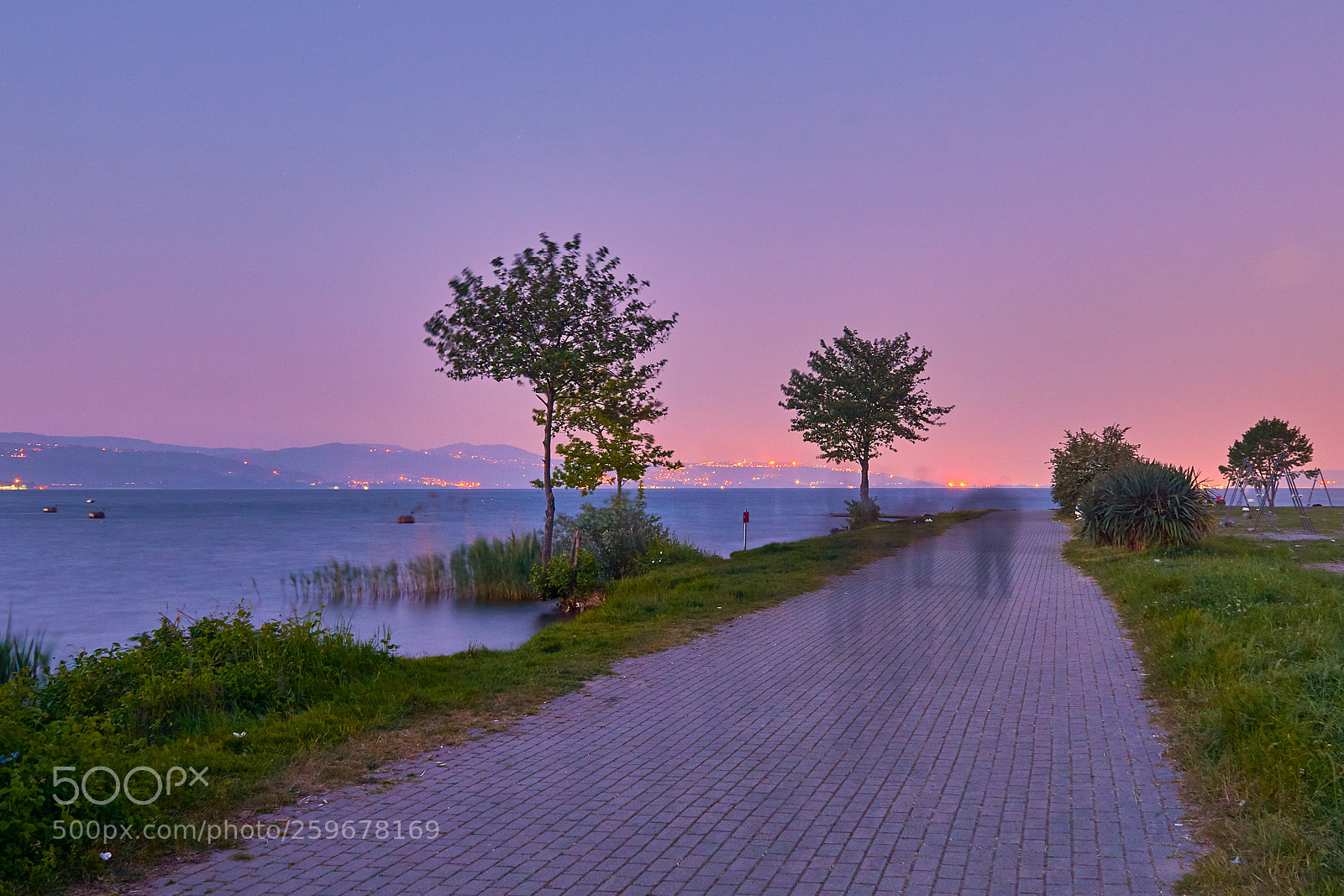Sony a6000 sample photo. A night walk... photography