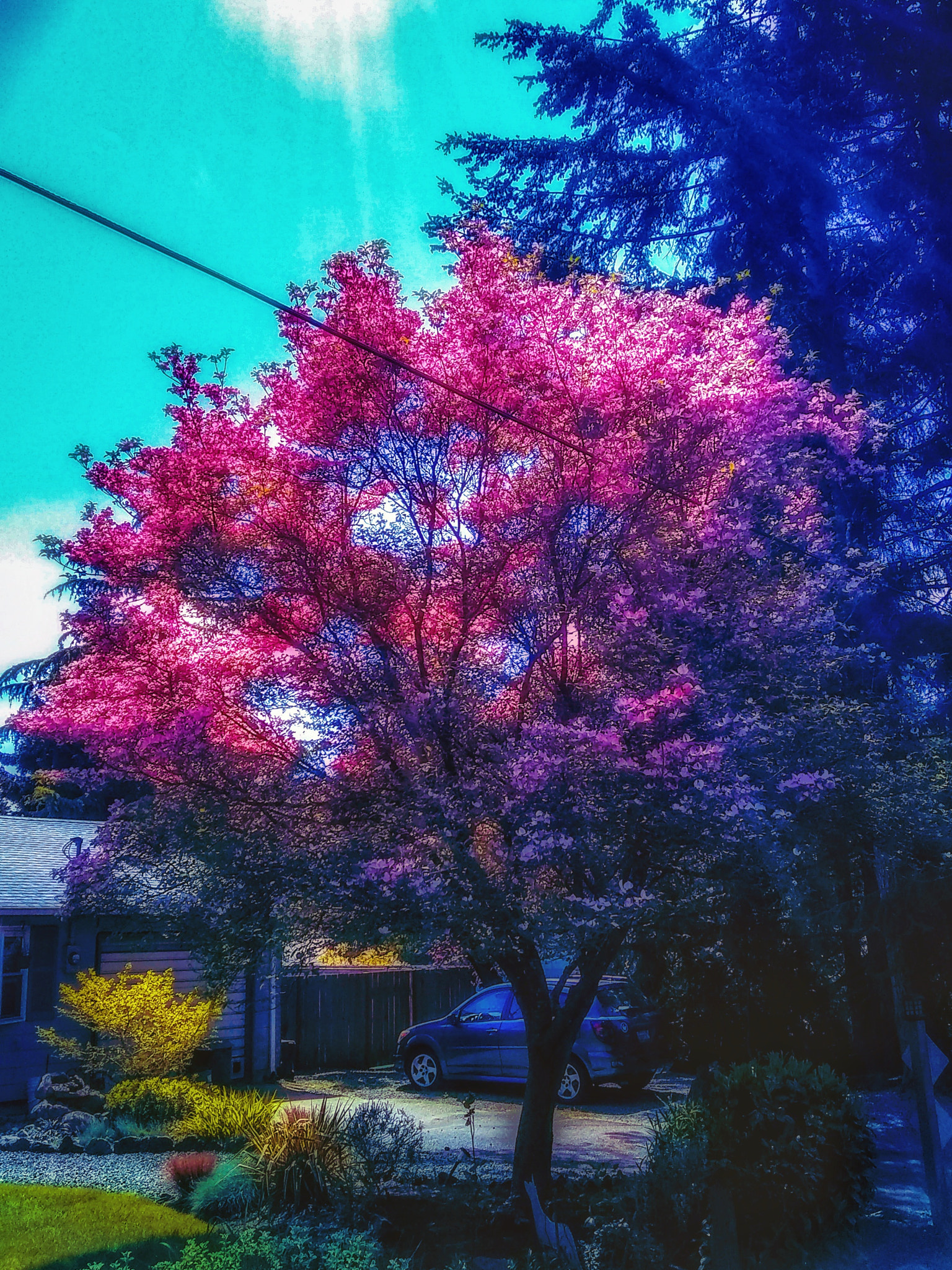 Motorola Moto E4 sample photo