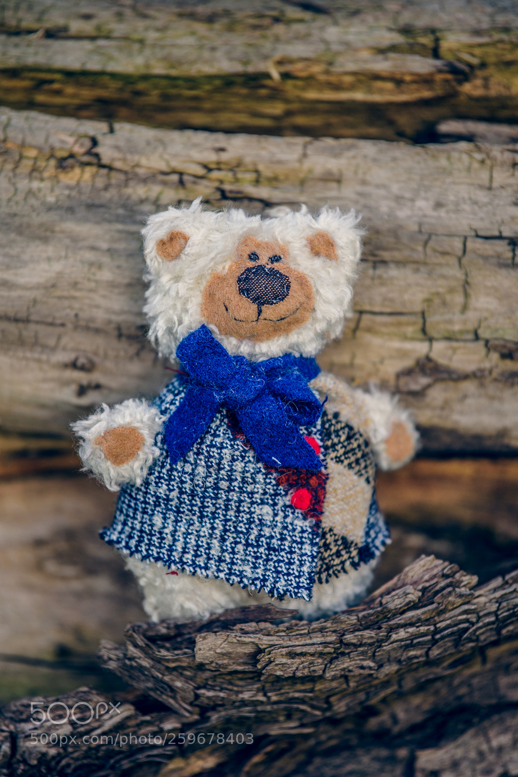 Nikon D750 sample photo. Baribal bears photography