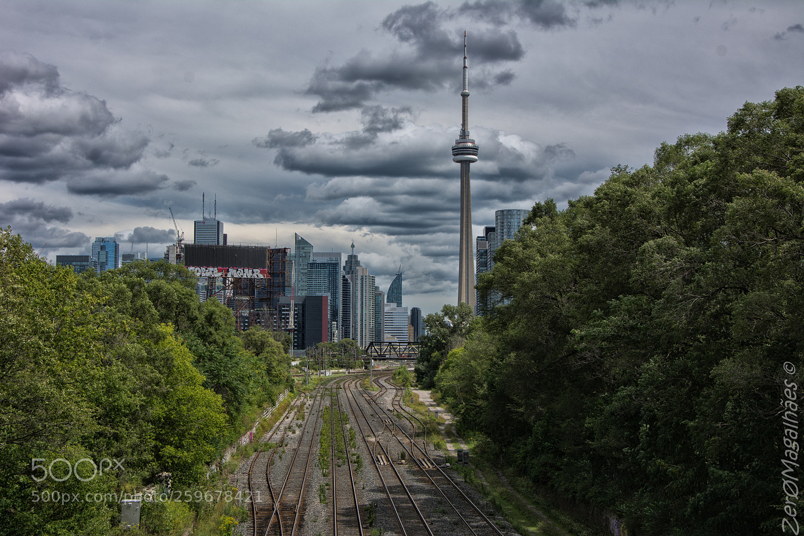 Nikon D7100 sample photo. Untitled photography