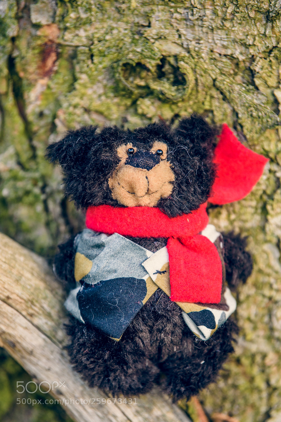 Nikon D750 sample photo. Baribal bears photography