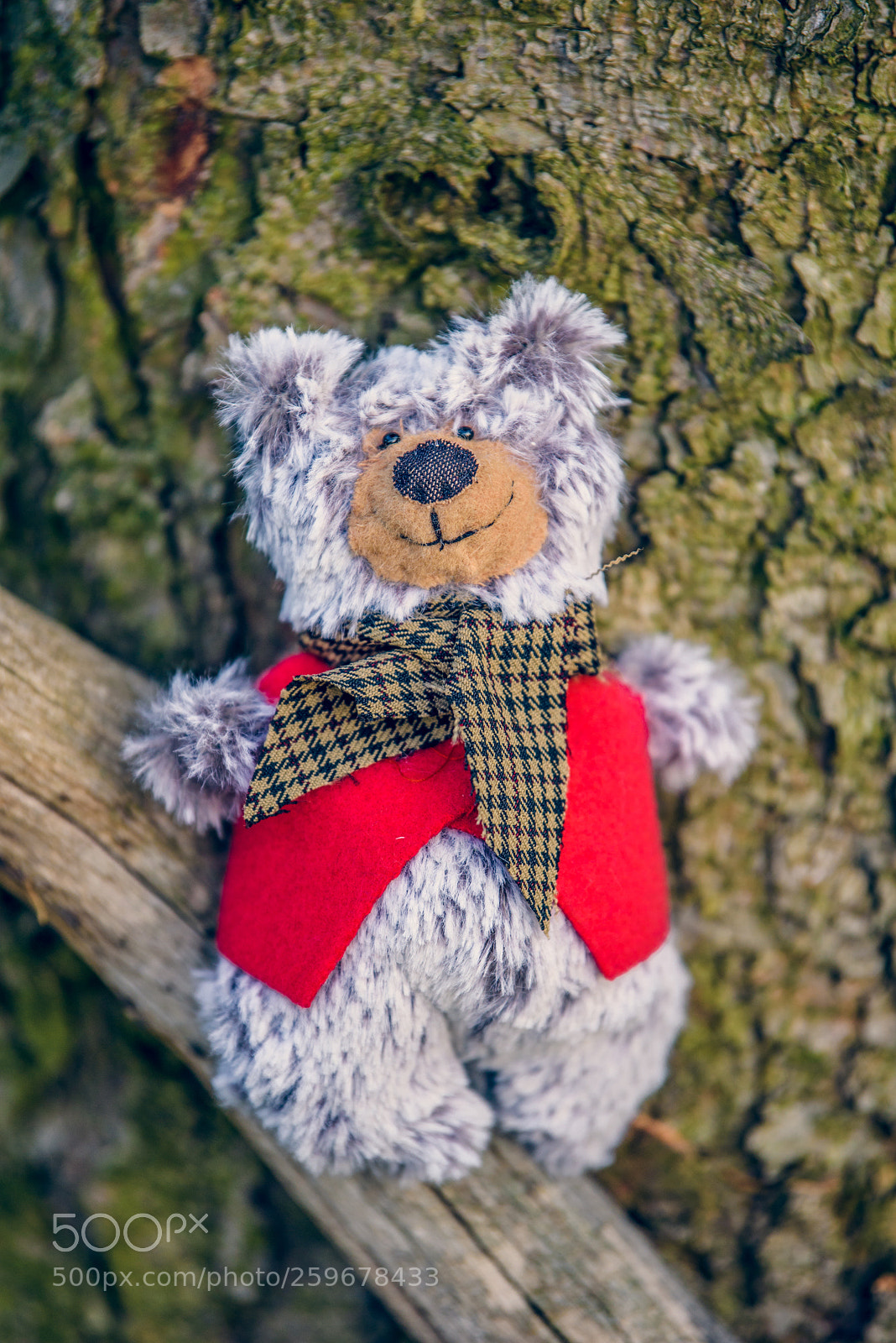 Nikon D750 sample photo. Baribal bears photography
