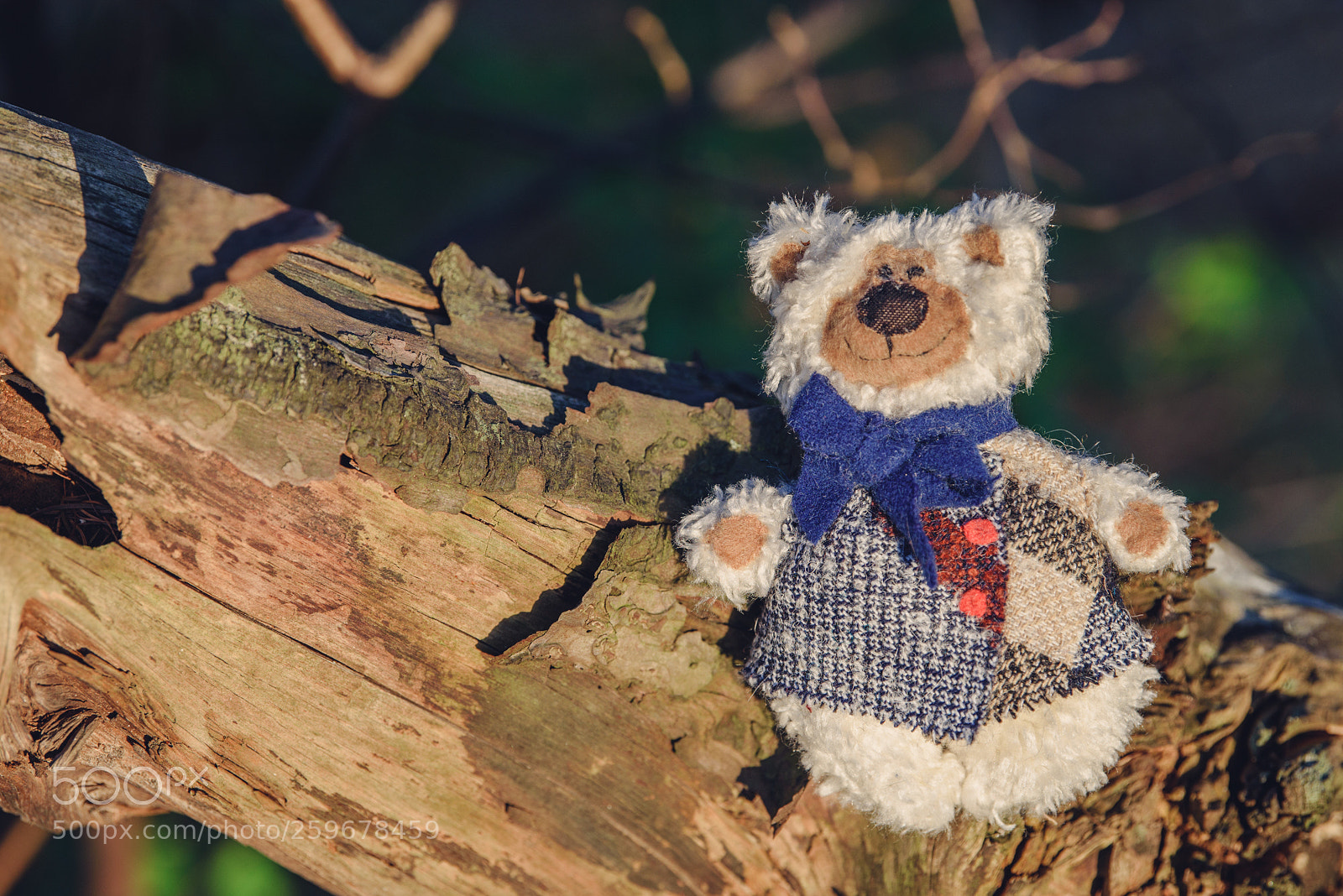 Nikon D750 sample photo. Baribal bears photography