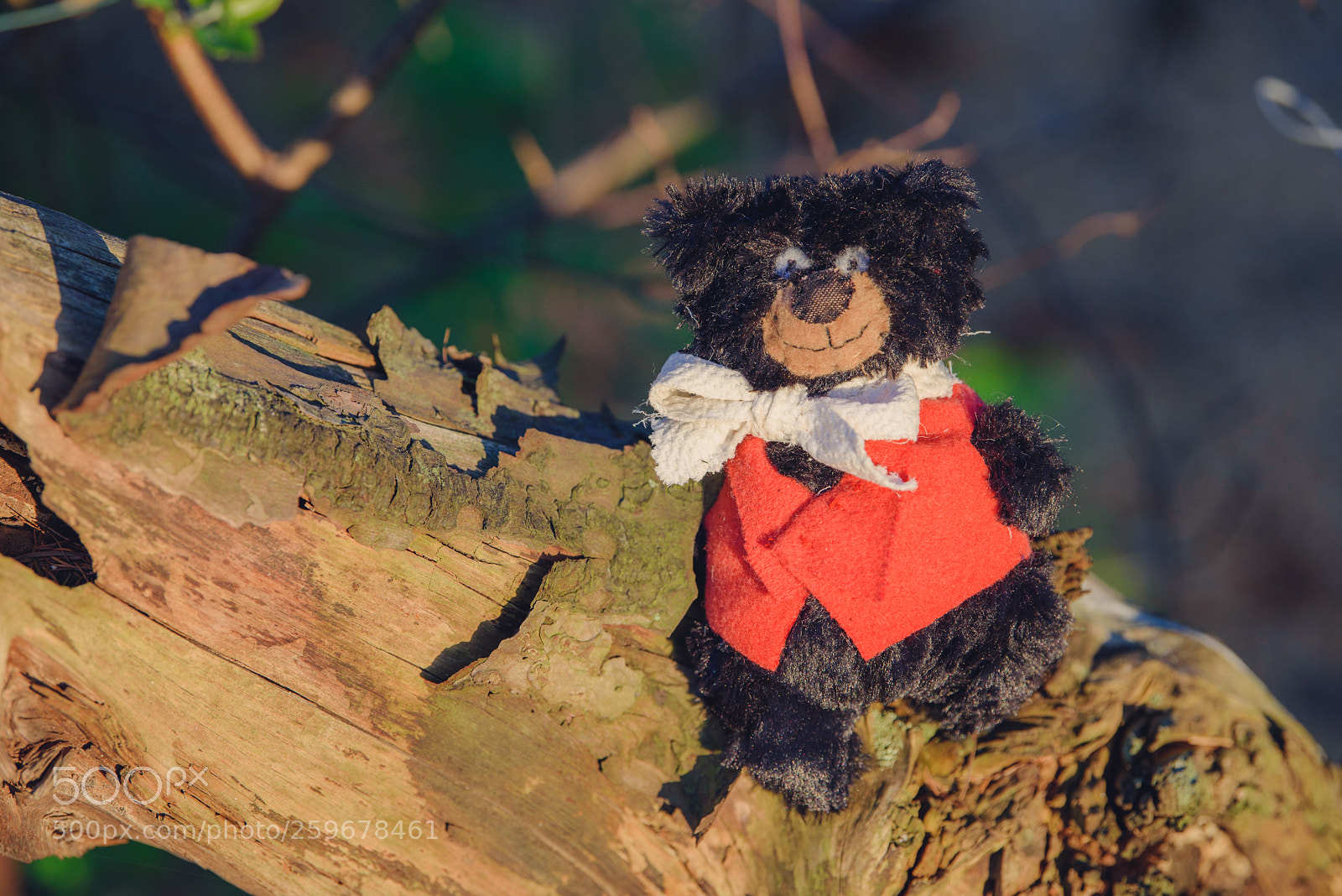 Nikon D750 sample photo. Baribal bears photography