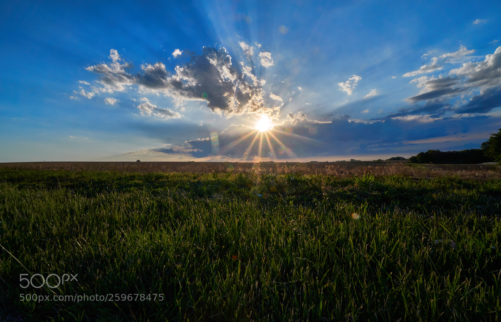 Sony a6500 sample photo. Dsc photography