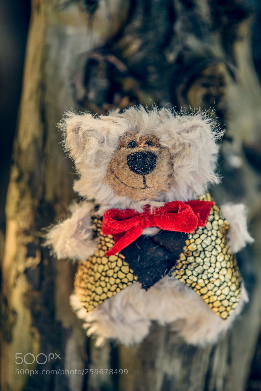 Nikon D750 sample photo. Baribal bears photography