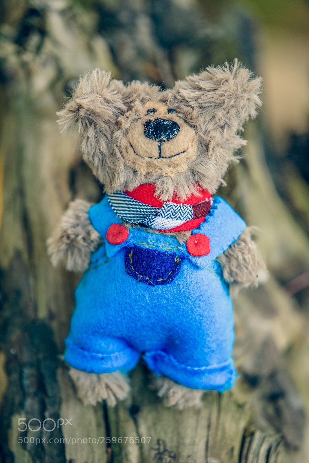 Nikon D750 sample photo. Baribal bears photography