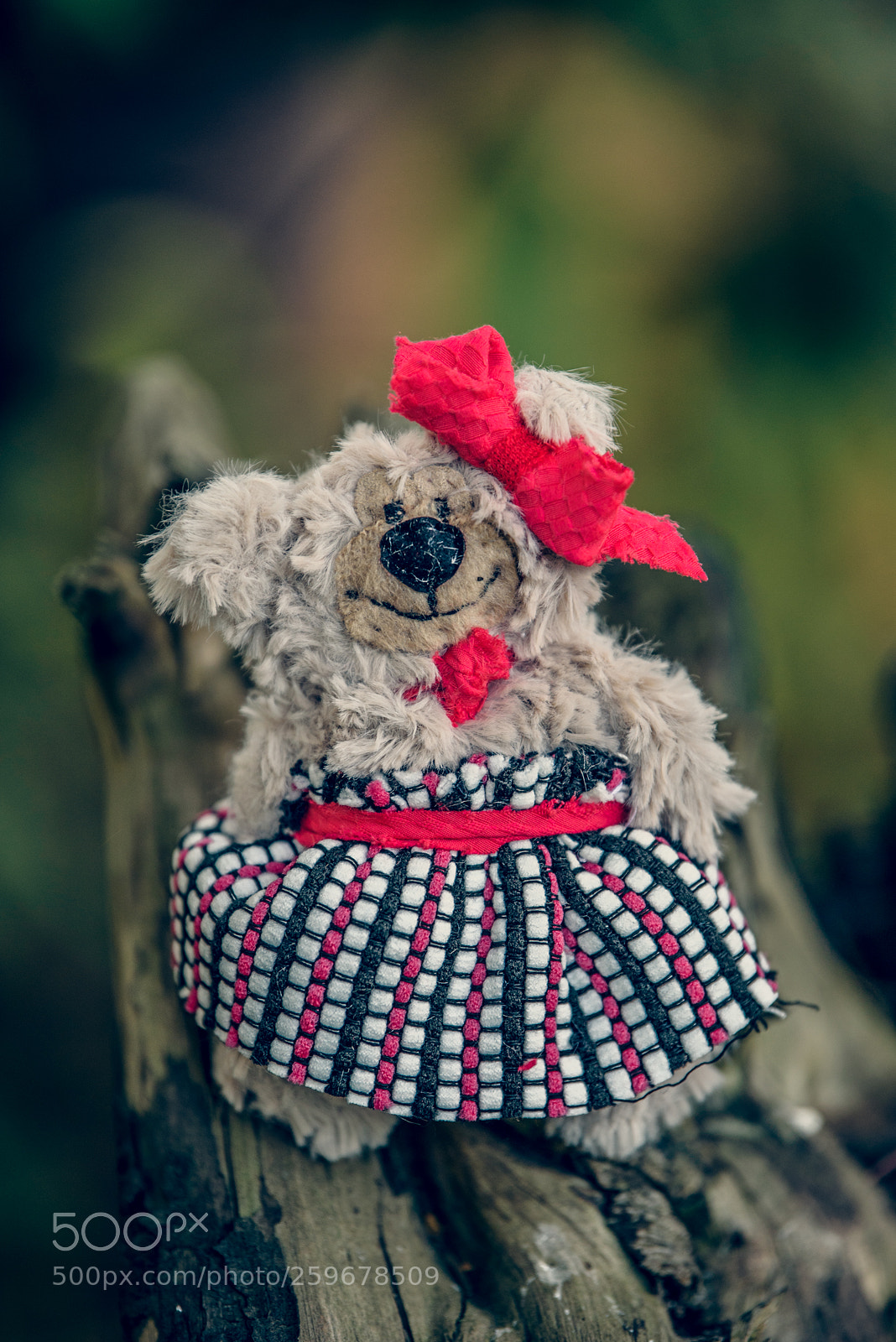 Nikon D750 sample photo. Baribal bears photography